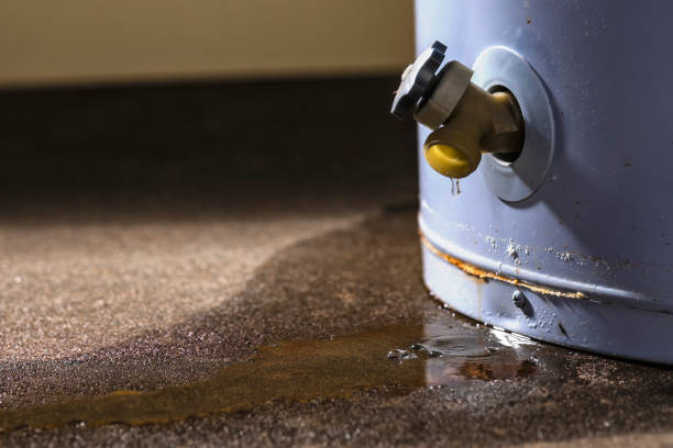 Best 24-hour water damage restoration  in Chenango Bridge, NY