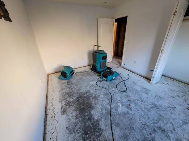 Best Water damage cleanup near me  in Chenango Bridge, NY