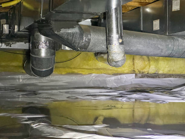 Best Water damage restoration near me  in Chenango Bridge, NY