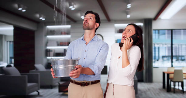 Best Professional water damage repair  in Chenango Bridge, NY