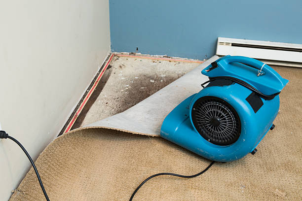 Best Water damage restoration process  in Chenango Bridge, NY